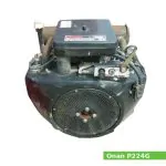 Onan P224G